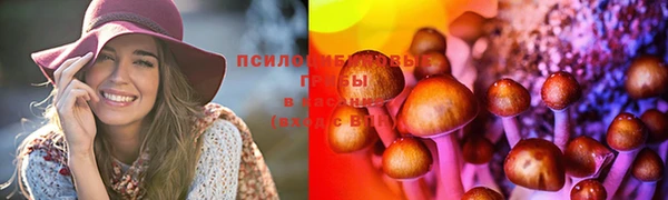 jwh Богородск